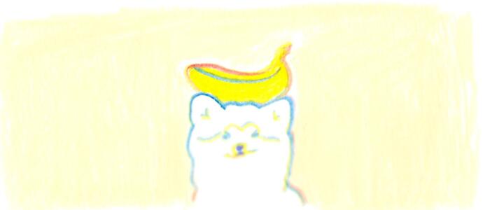 illustration by teraoka natsumi
